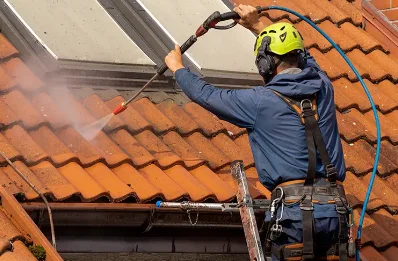 Démoussage et hydrofuge de toiture à Crevin